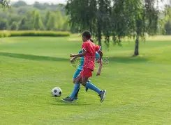 国安内部高,层深度交流,蒙哥马利与,开元体育,开元体育官方网站,开元体育登录入口